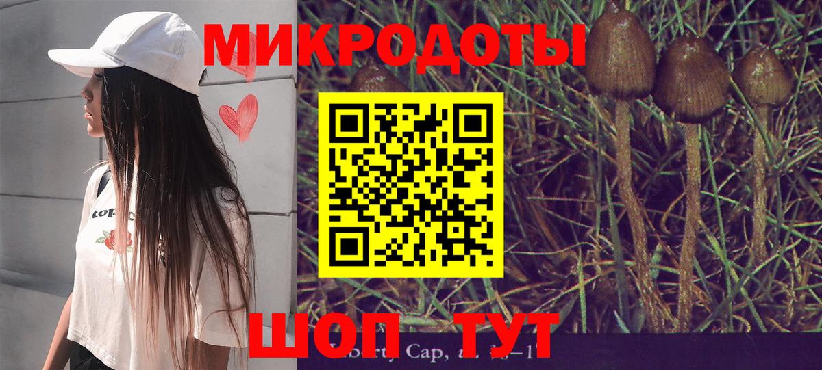 Избербаш  Галлюциногенные грибы мицелий  Вход с VPN 
