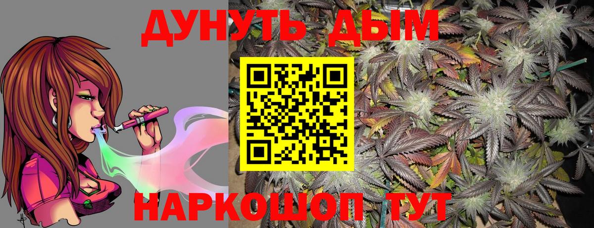 Конопля гибрид Избербаш